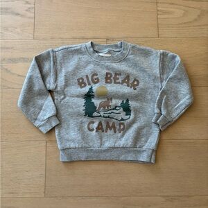 Little planet by Carter’s grey toddler big bear camp sweatshirt, size 3T